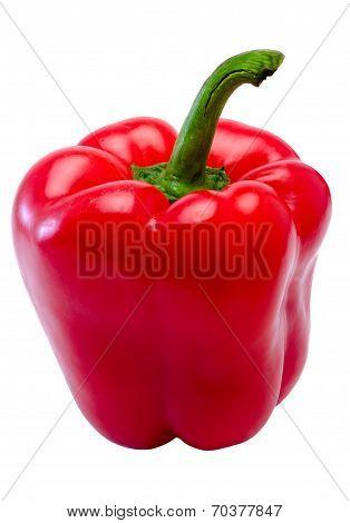 Bulgarian Red Pepper