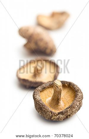 dried shiitake mushrooms on white background