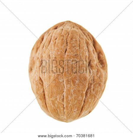 Whole Walnut Isolated