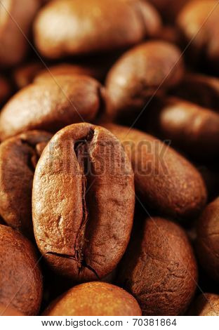 Coffee Beans Three