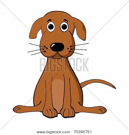 Puppy