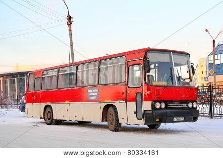 Ikarus 256