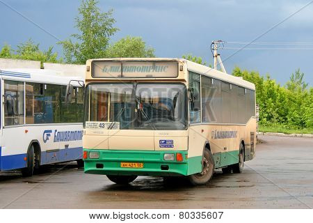 Nefaz 5299