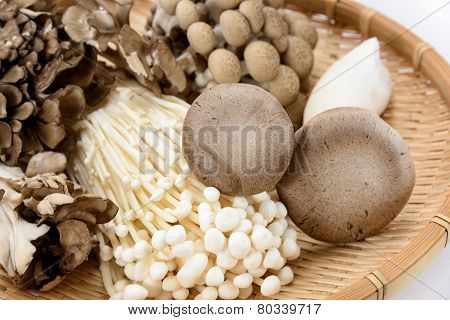 Assorted Of Mushrooms