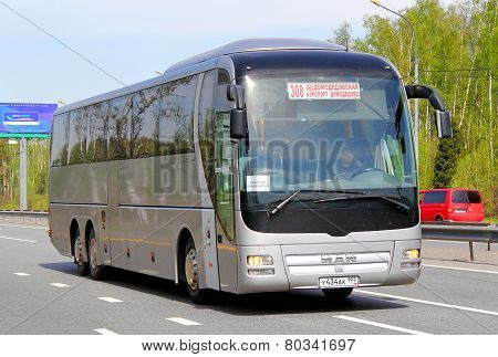 Man R08 Lion's Top Coach
