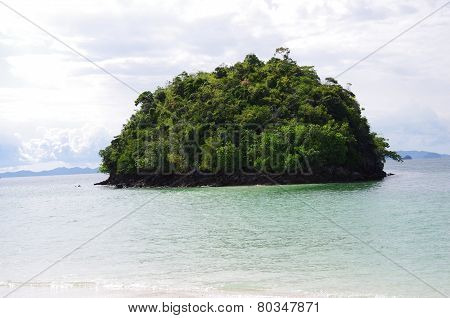 Thailand Delight