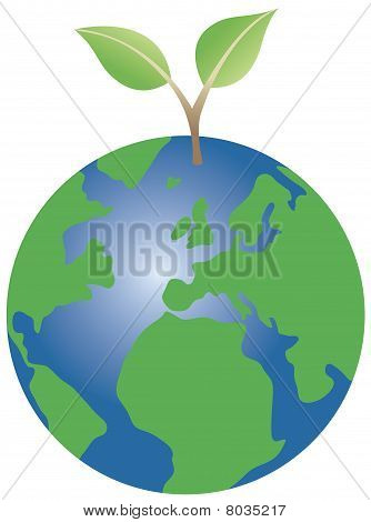 Växtodling från globe
