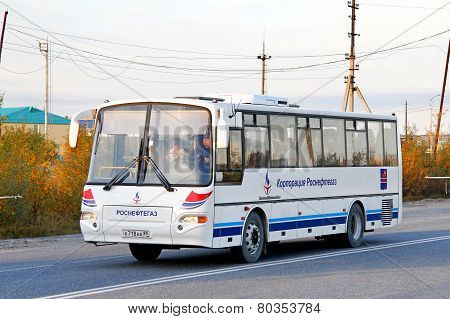 Kavz 4238 Avrora