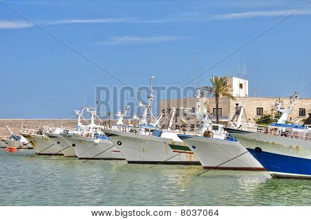 Proas de barcos.