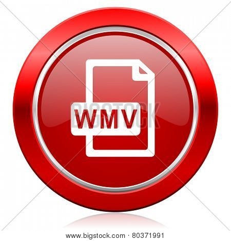 wmv file icon  