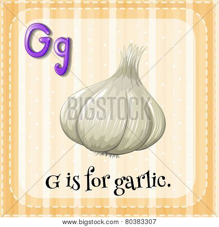 Illustration of a letter G is for garlic