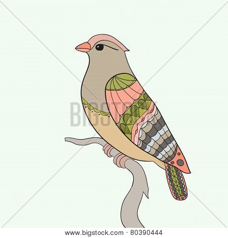 bird