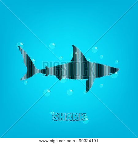 Shark Background