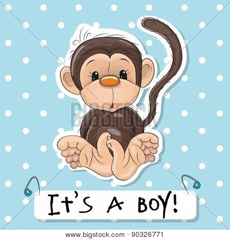 Cute Monkey Boy