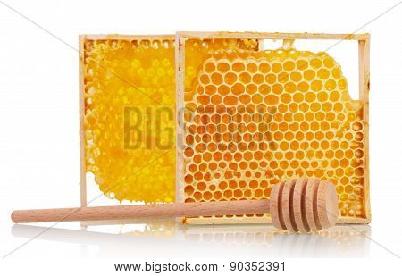 honeycombs with honey dipper