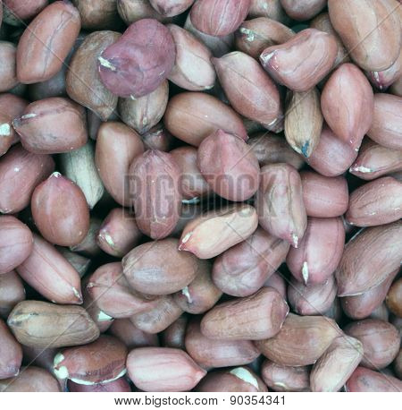 Arachis Background