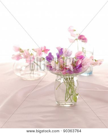 Sweet peas flower