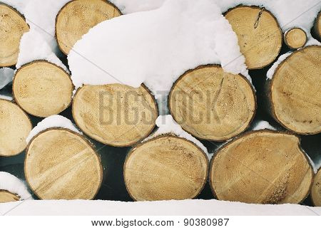 firewood in the forest. sawn wood.