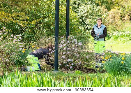 Gardening