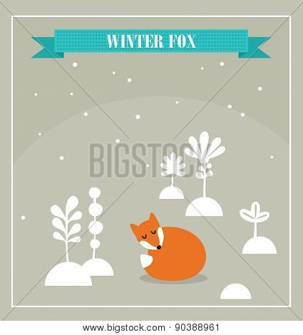 Cute little fox.