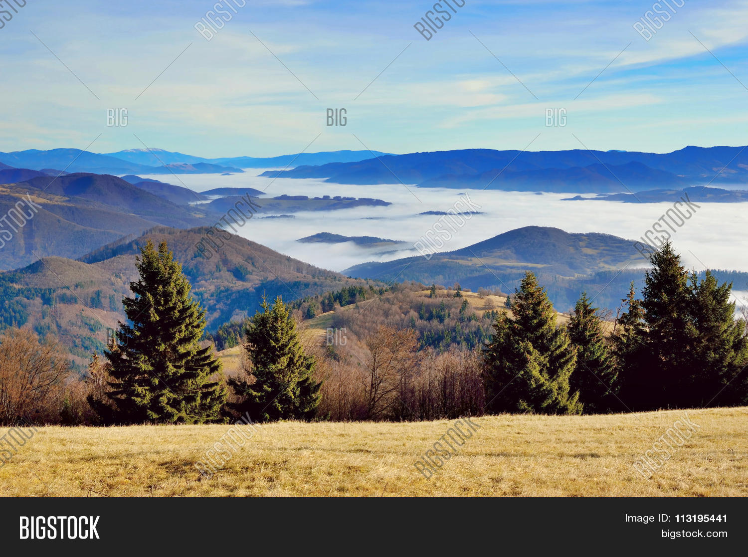 Image Preview