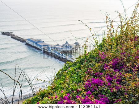 Nature on the Costa Verde (Green Coast)