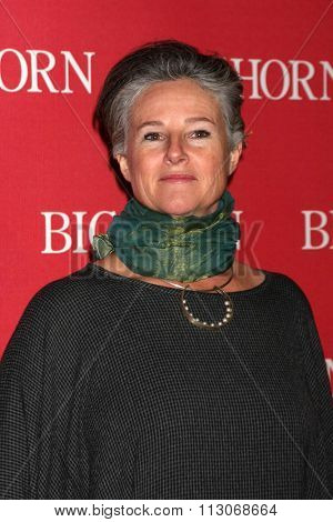PALM SPRINGS - JAN 2:  Helen du Toit at the 27th Palm Springs International Film Festival Gala at the Convention Center on January 2, 2016 in Palm Springs, CA