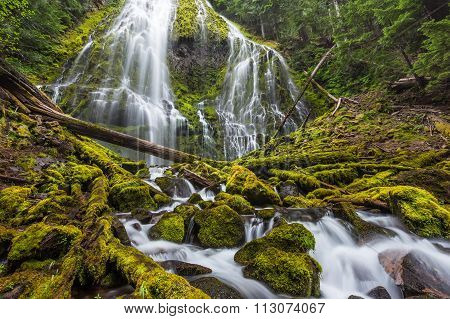 Proxy Falls Trail In Oregon National Forest