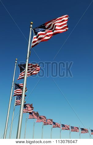 USA flags in a row waving in the wind