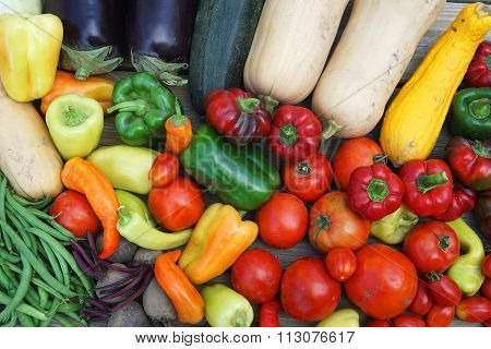 new picked fresh vegetables