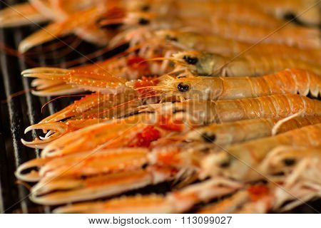 Orange Prawns Grilled