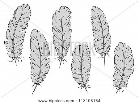 Isolated gray quill feathers set