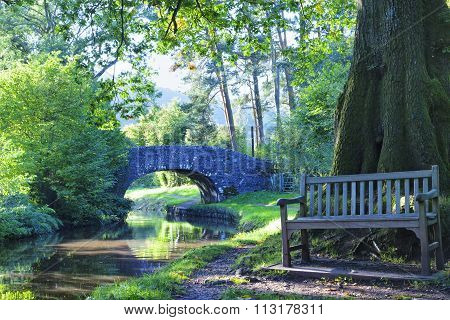 stone bridge on a forest edge