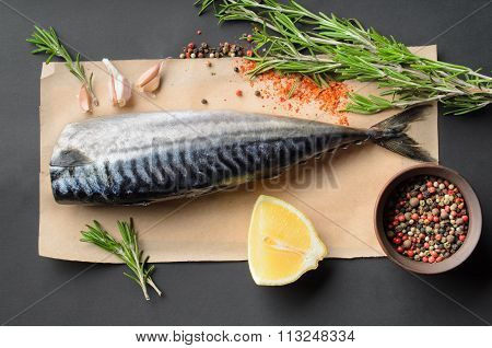 fresh raw mackerel