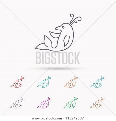 Dolphin icon. Cetacean mammal sign.