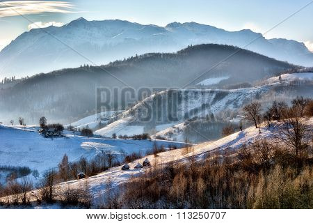 Frozen Sunny Day Of A Winter, On Wild Transylvania Hills. Holbav. Romania. Low Key, Dark Background,