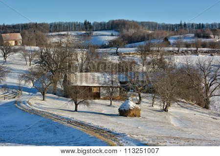 Frozen Sunny Day Of A Winter, On Wild Transylvania Hills. Holbav. Romania. Low Key, Dark Background,