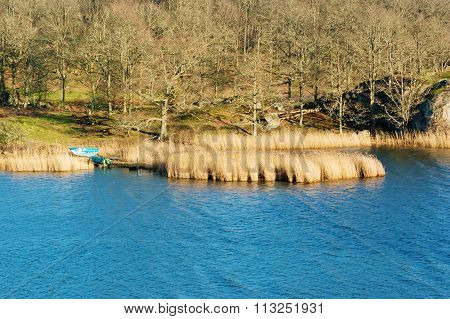 Boat Among The Reeds