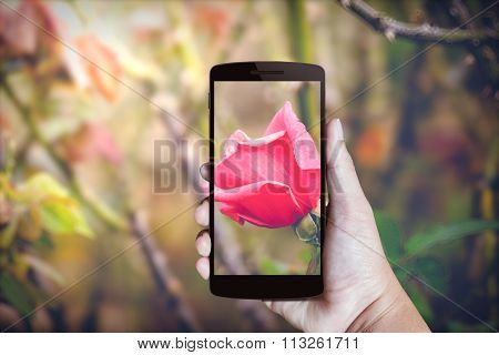 Modern Mobile Phone In The Hand.