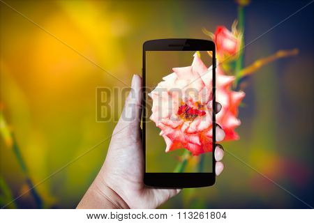 Modern Mobile Phone In The Hand.