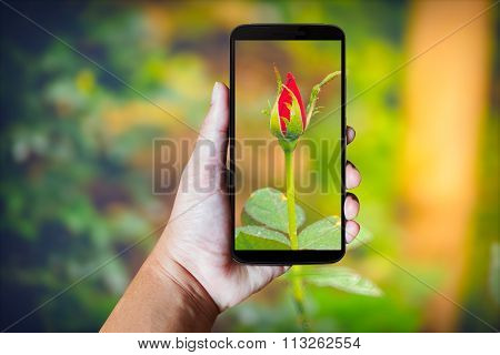 Modern Mobile Phone In The Hand.