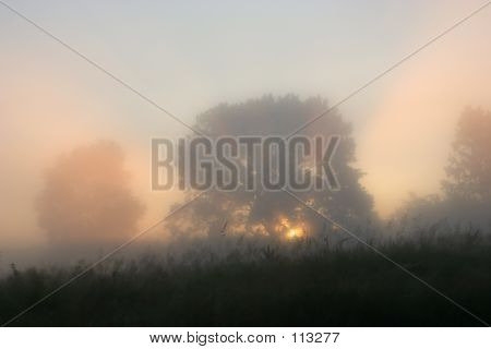 Mattina presto raggi