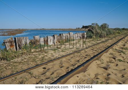 Train Tracks to the Beach
