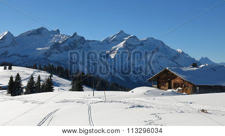 Idyllic Winter Landscape Near Gstaad