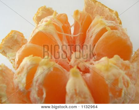 Mandarine, mandalina