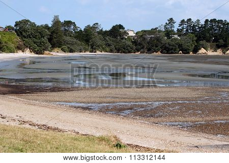 Surfdale Waiheke Island