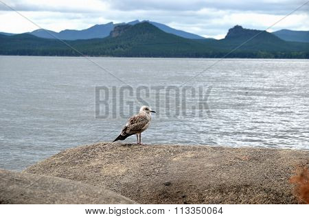 Lake Borovoe, State National Natural Park 