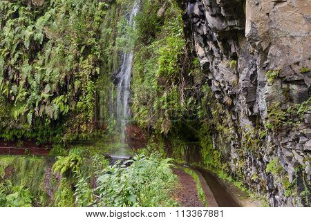 Trail At Levada Do Rei Through An Ancient Laurel Forest