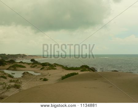 Sandscapes ของชายหาด