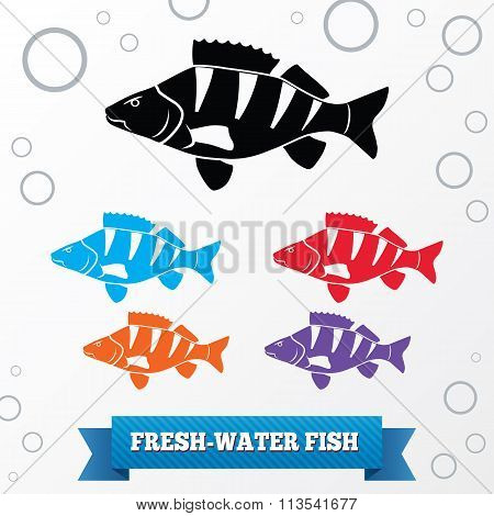 Fish icon set. Perch, redfin perch. Percidae family. Food, animal symbol. Black, red, lilac, blue, o